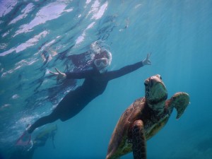 海亀と宮古島で
