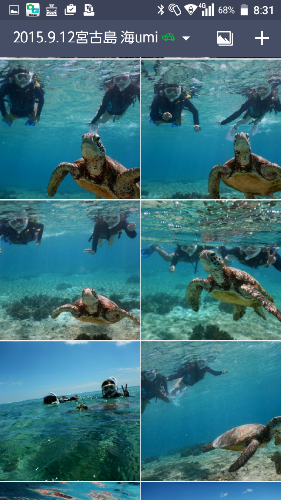 海亀写真プレゼント