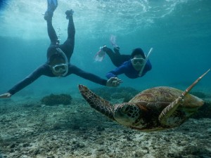 二人同時にスキンダイビング