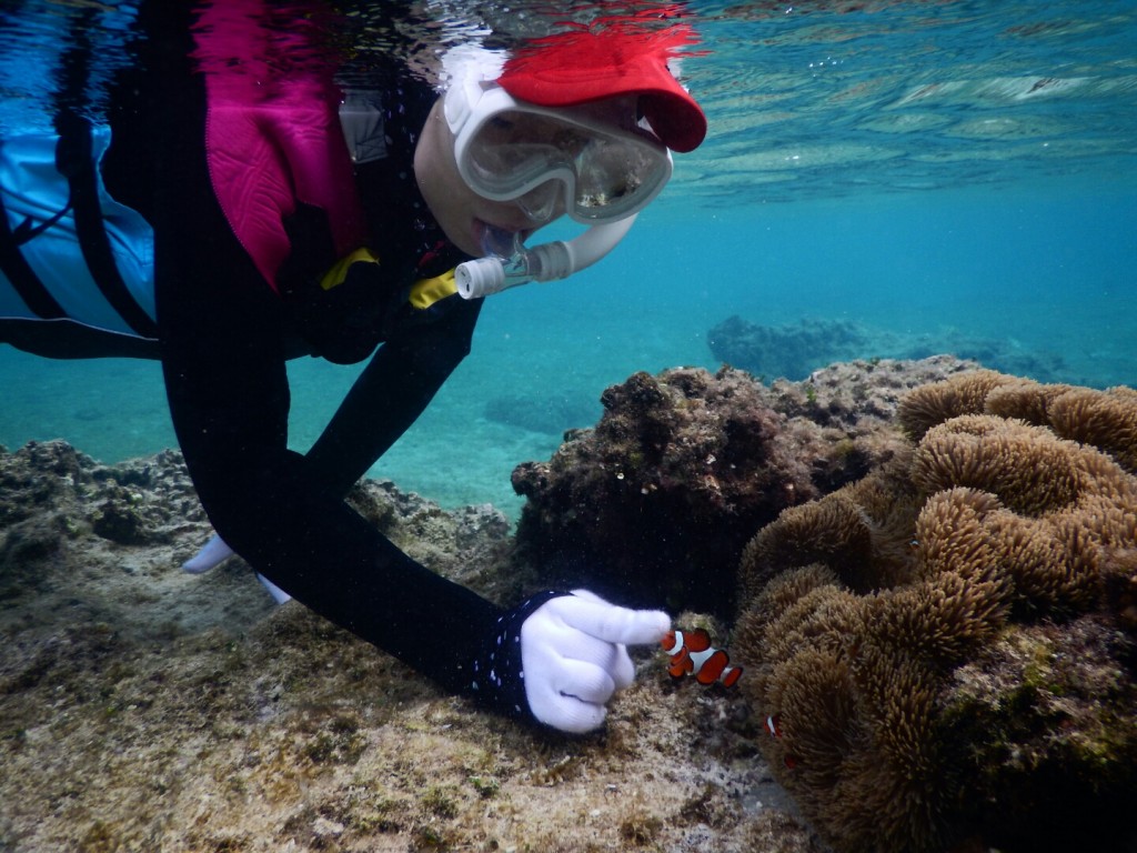 カクレクマノミのニモちゃんと遊ぶ