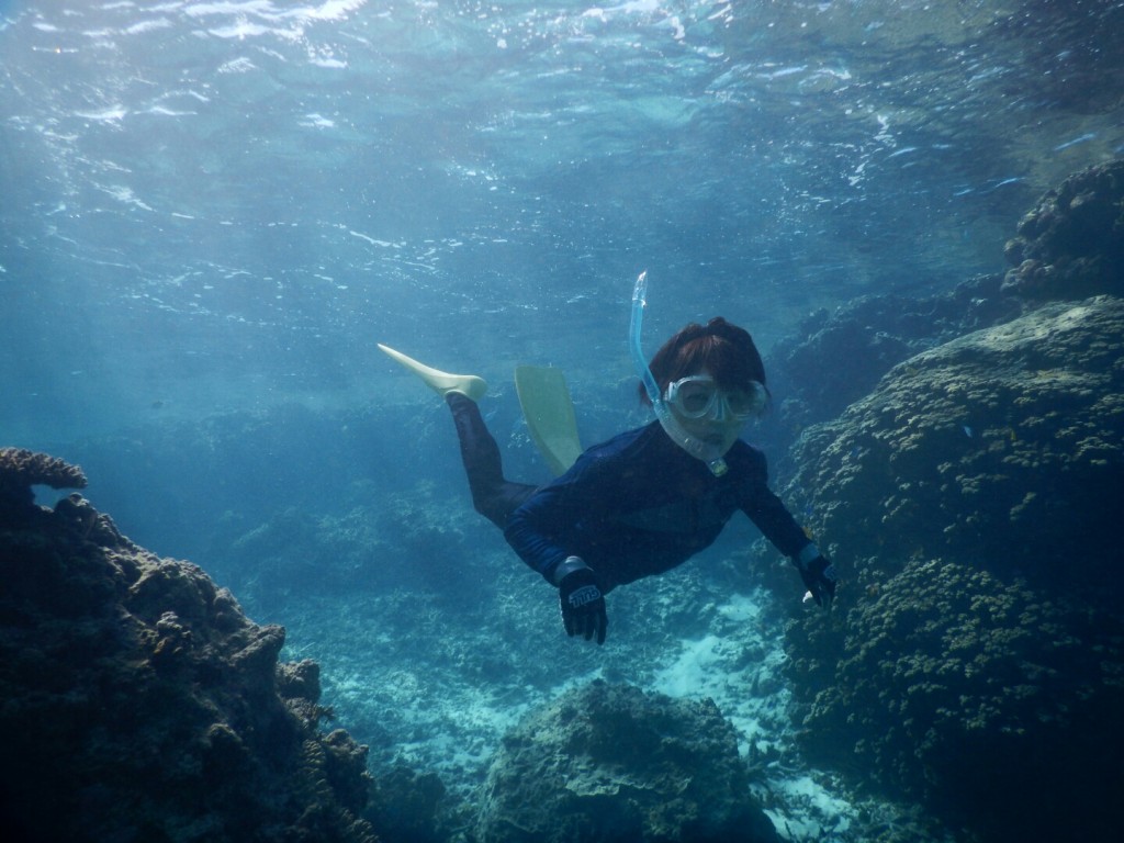 シュノーケルと違うスキンダイビングの世界
