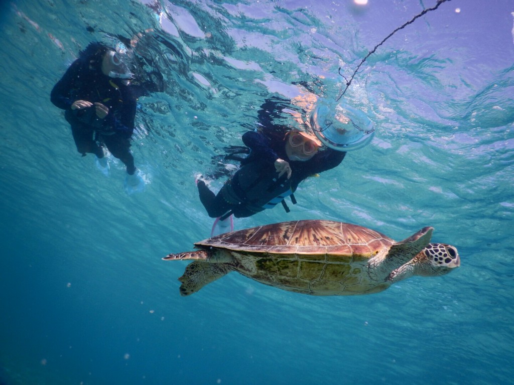 ウエットいらずのシュノーケルです