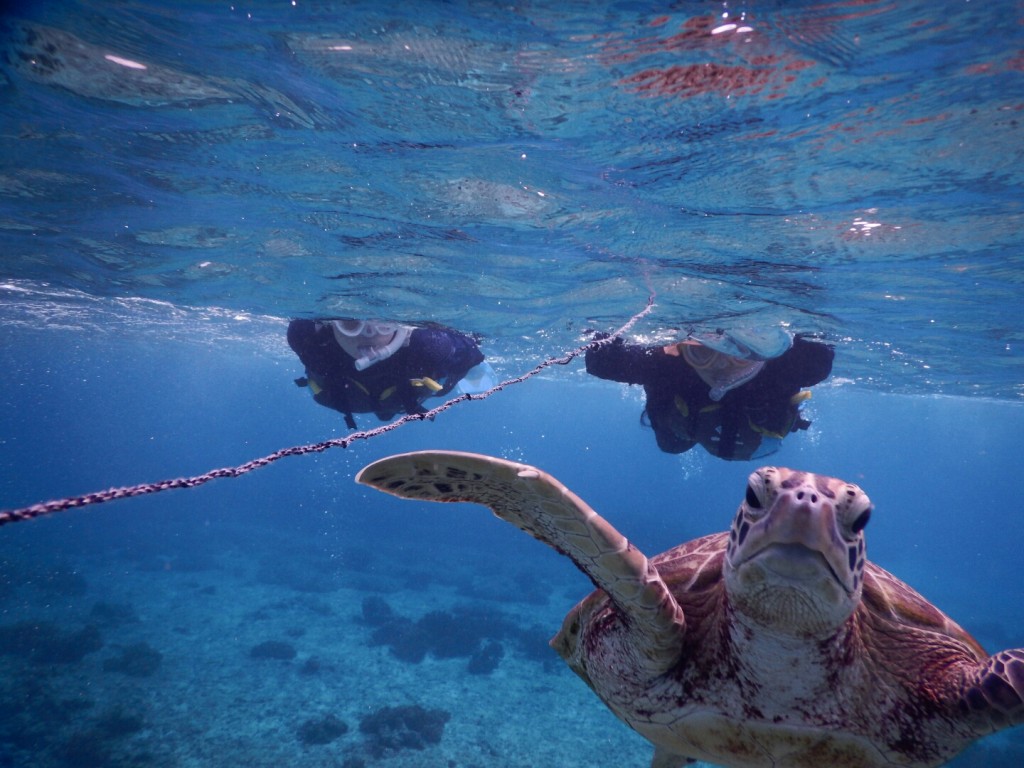 浮き輪につかまりシュノーケル