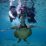 4歳シュノーケルデビュー