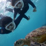 彼と一緒にウミガメツアー