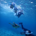 最年少シュノーケル