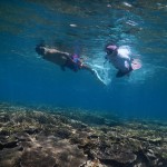 仲良し夫婦シュノーケルツアー