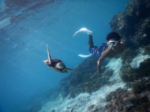 シュノーケルからスキンダイビングへ