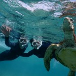 亀の息継ぎをシュノーケルで見る