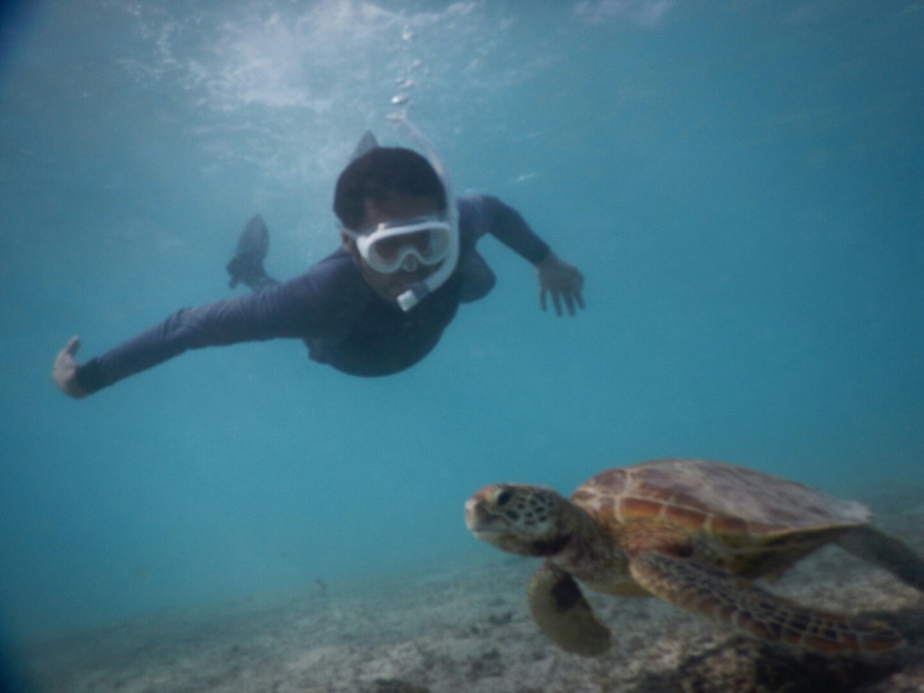 シュノーケル久々でもスキンダイビングも