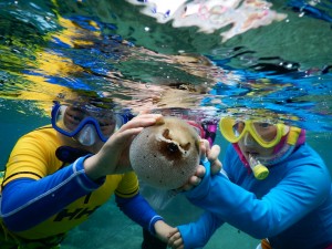 シュノーケルしたら捕まえたよ