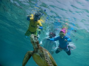 11月でも暖かい日はラッシュでシュノーケルしてます
