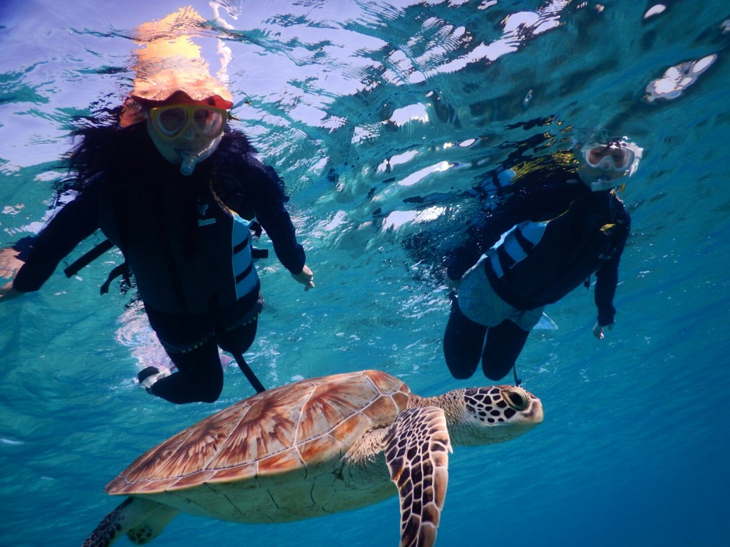 浮き輪なしシュノーケル