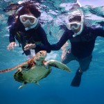 夫婦いつまでも仲良し宮古島シュノーケル