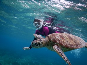 寒い日はウェット着てシュノーケル