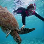 Effectplus_20151118_170406