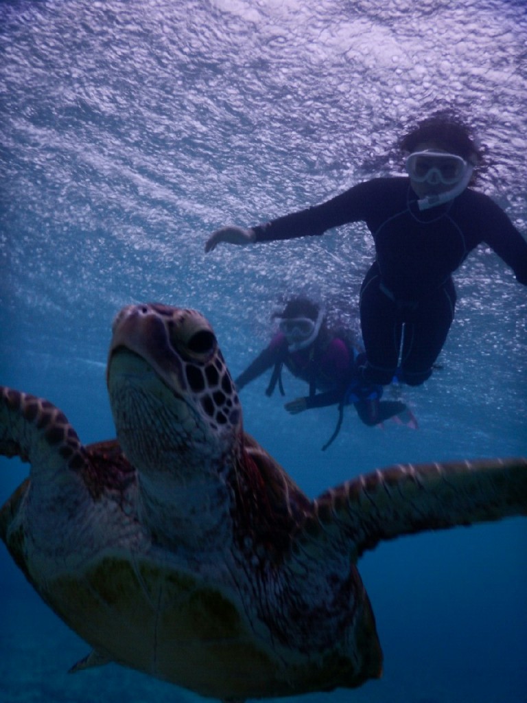 大雨の中シュノーケルツアー