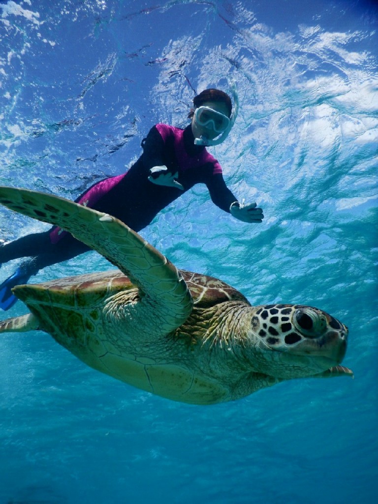 こんな透明度の良い海でシュノーケル