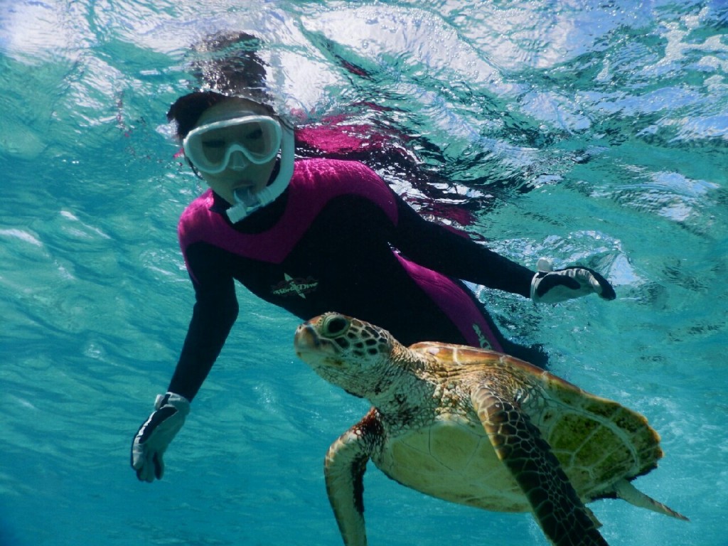 シュノーケルで嘘みたいに近い