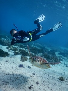 ウミガメ撮影スキンダイビング