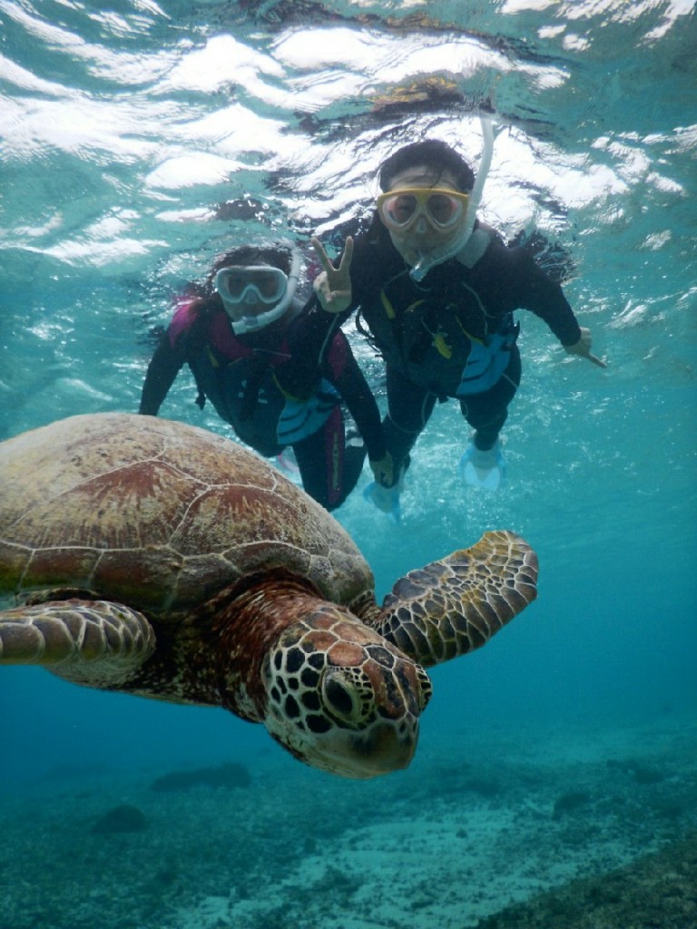 クリアなシュノーケル時間