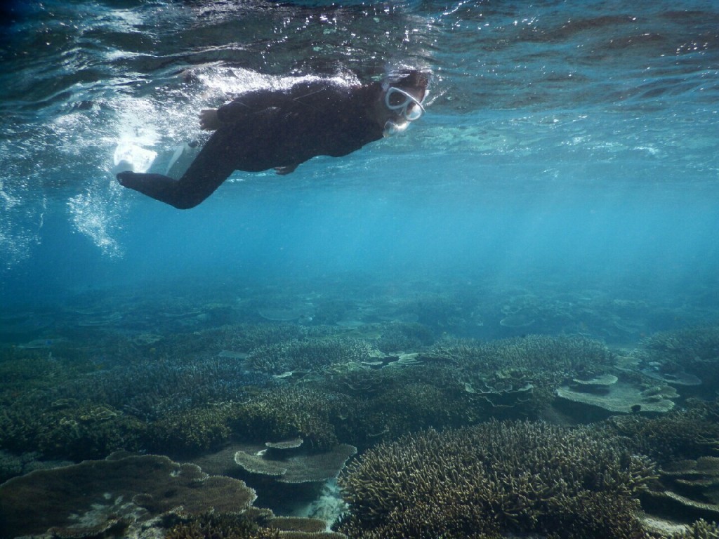 シュノーケルのフォルムの美しさ
