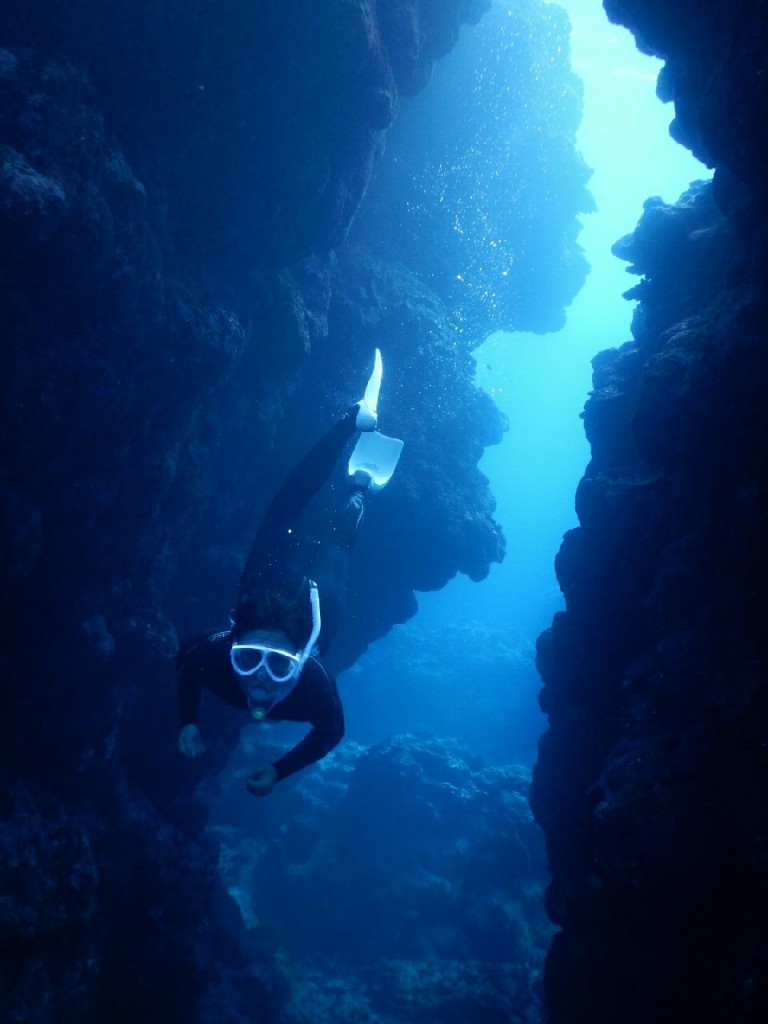 深い溝もスキンダイビング