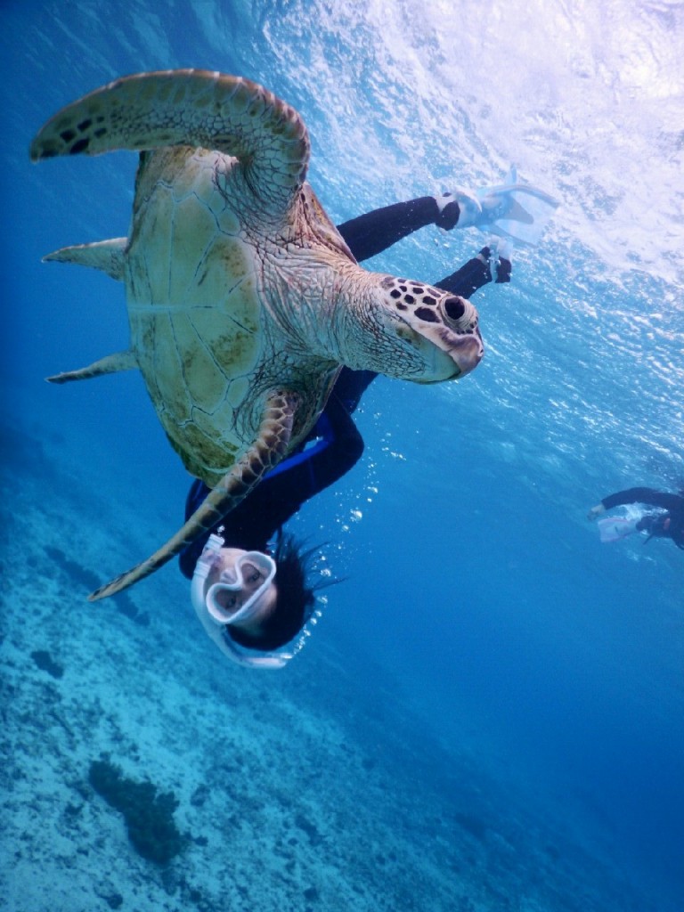 ウェットにウェイトつけてスキンダイビング