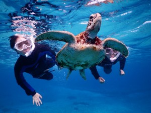 ゴールデンタイムの透明度