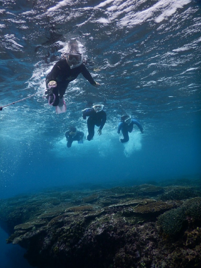 強風警報、波浪警報でも安全ポイントへ