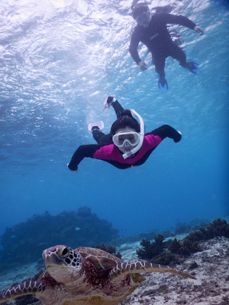 素潜りスキンダイビング