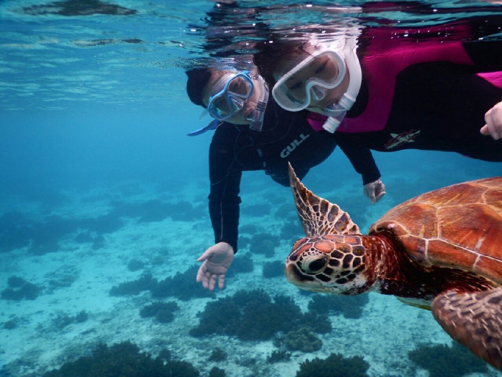 二人仲良くウミガメツアーで横泳ぎ