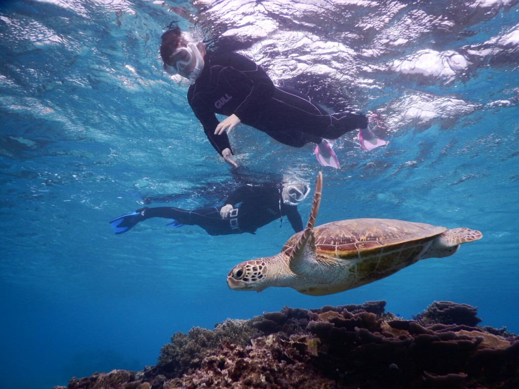 優しいサポートでシュノーケルツアー