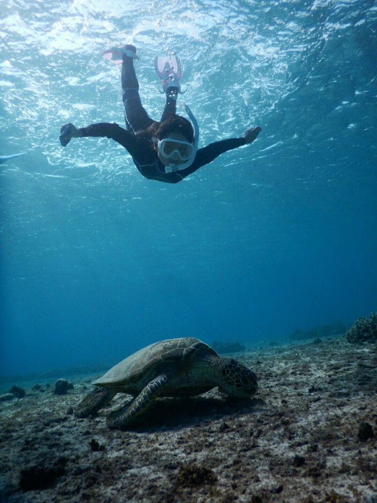 スキンダイビングで天使が舞い降りる
