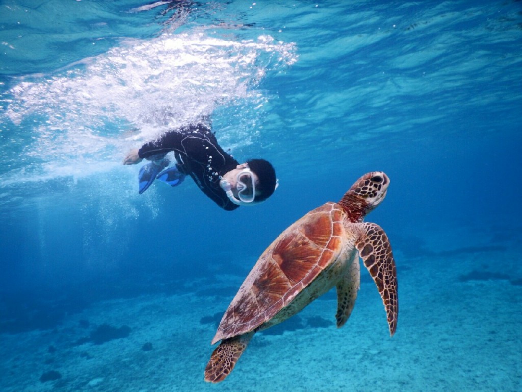 ２回目でスキンダイビング