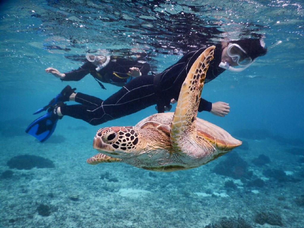 初めてでも安定したシュノーケル