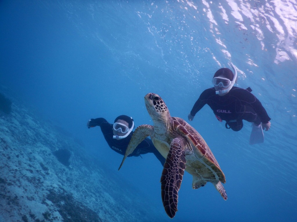 上から下からシュノーケル