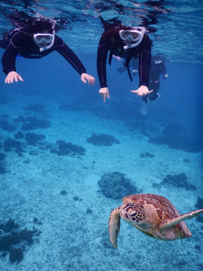 水着が無いけどシュノーケルでウミガメと撮影