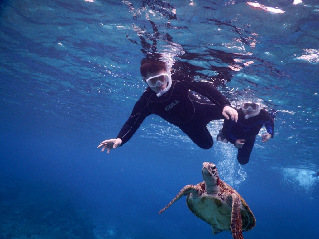 泳ぎが上手でシュノーケルも上手