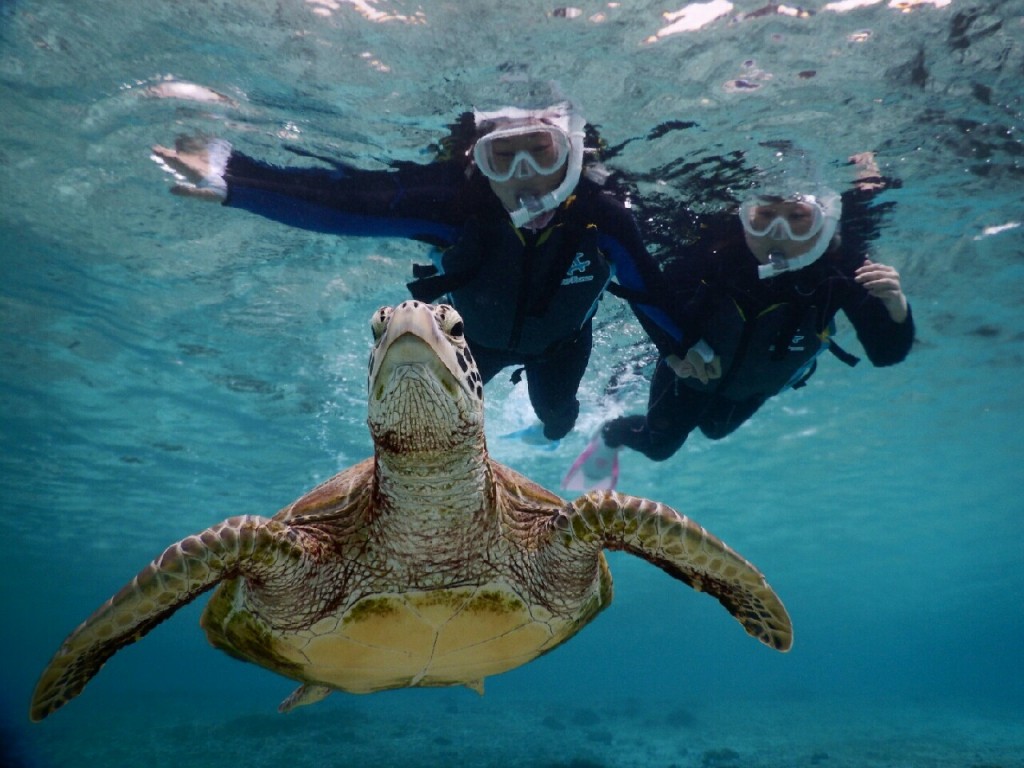 宮古島シュノーケルを自力で楽しむ喜び
