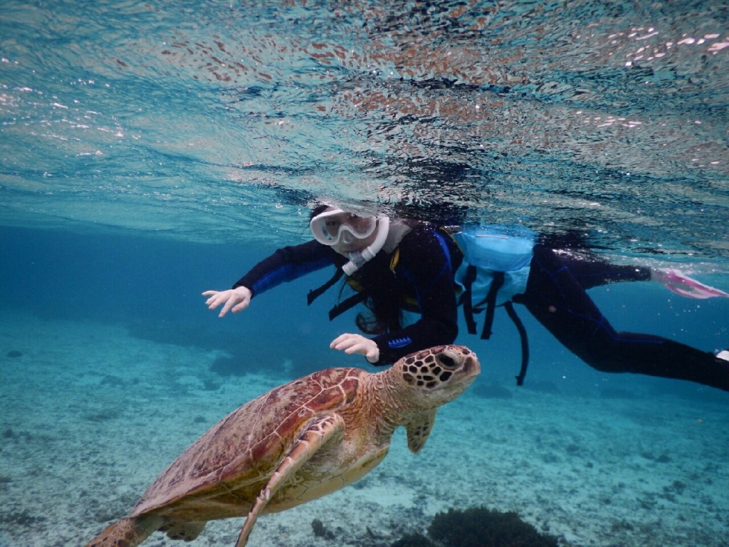 宮古島シュノーケルで反対に行くウミガメ