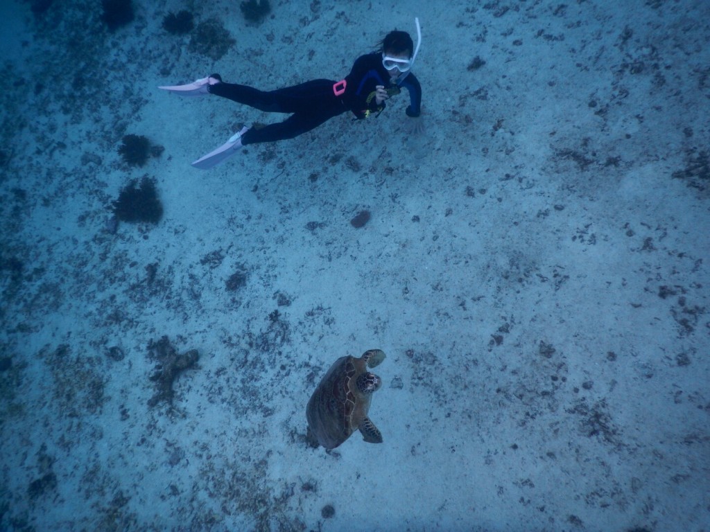 深くスキンダイビング