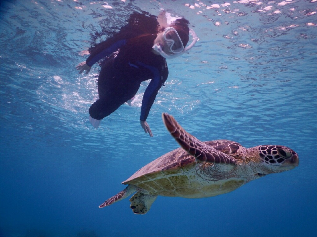 宮古島シュノーケルでしなる泳ぎ