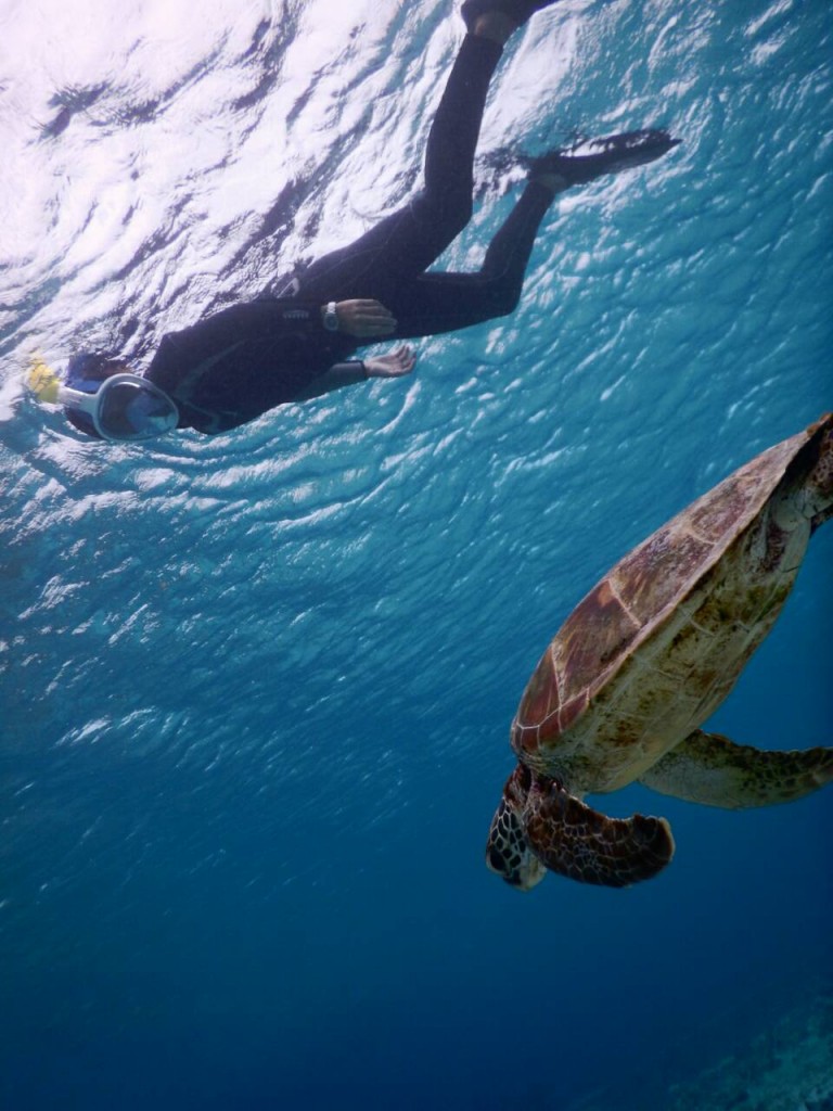 鼻でも呼吸できるシュノーケル