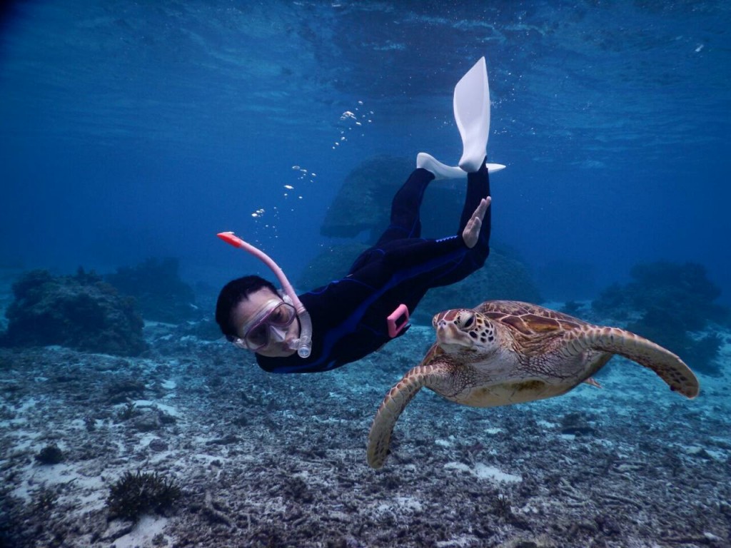 新規ポイントでウミガメシュノーケル