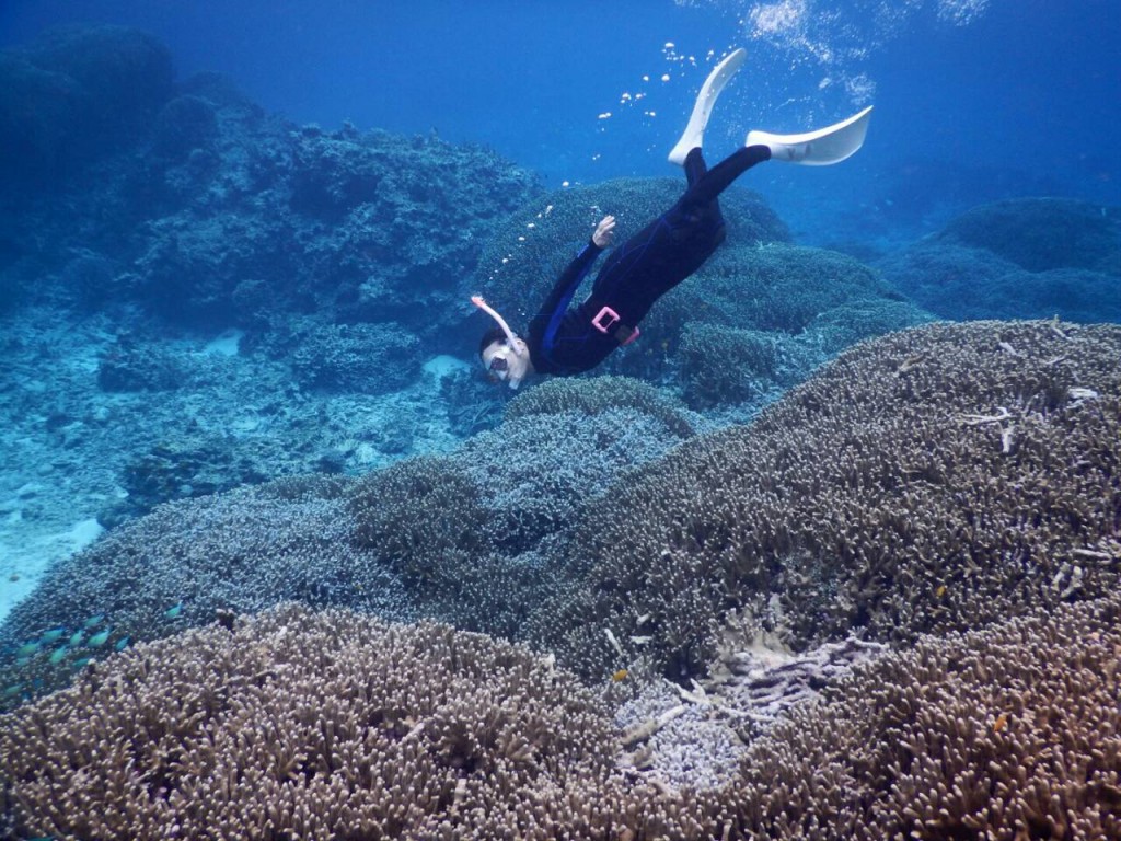 珊瑚いっぱいのシュノーケルポイント