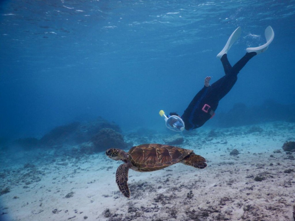 特別なシュノーケルマスクで潜りました