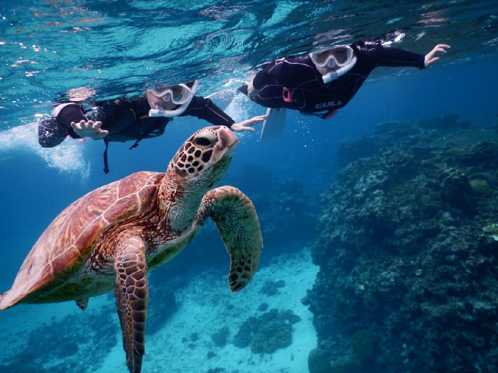 青く透き通る海へ宮古島シュノーケル