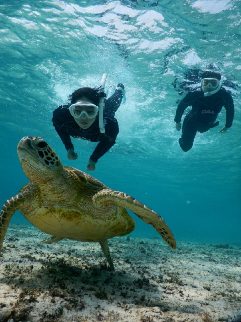 シュノーケルから素もぐりまで宮古島で