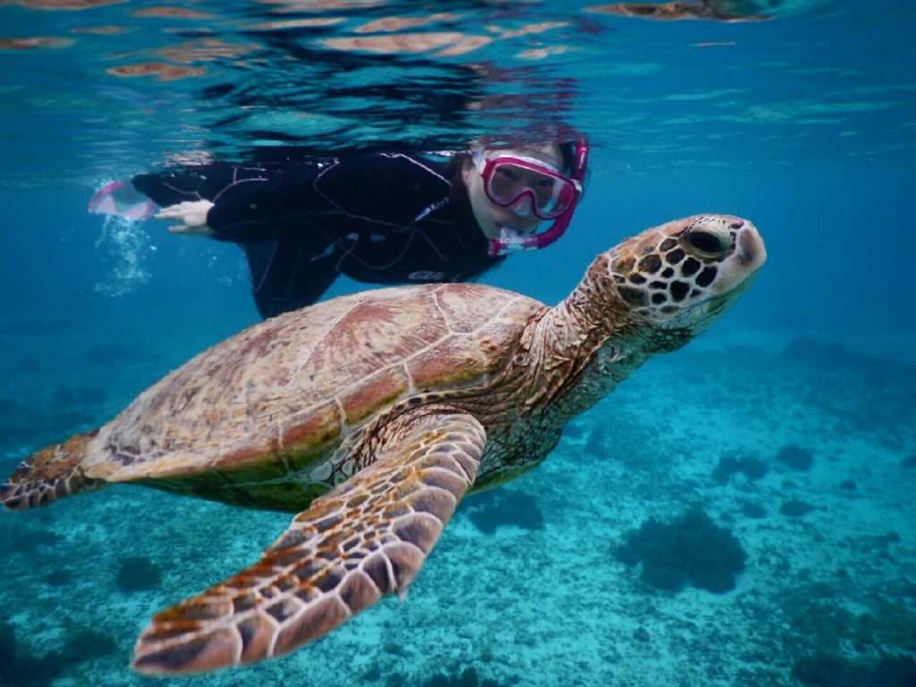 お一人様宮古島大歓迎のシュノーケル